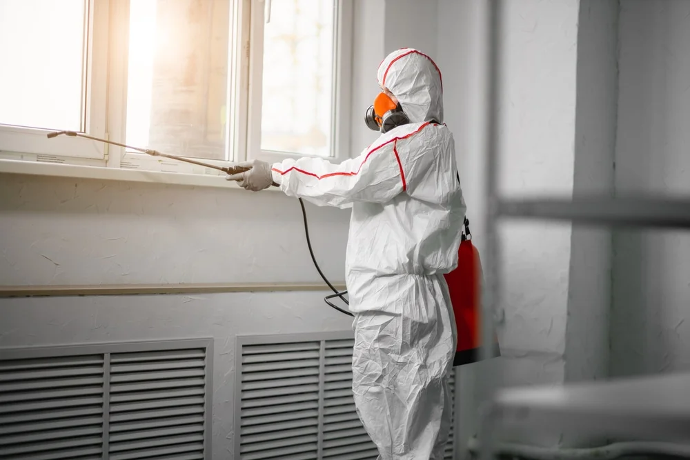 Professional mold remediation services in Boyceville, WI